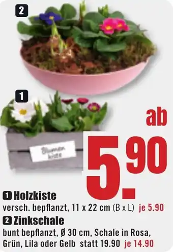 B1 Discount Baumarkt Holzkiste Angebot