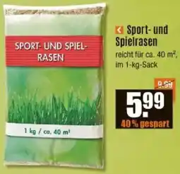 V Baumarkt Sport- und Spielrasen Angebot