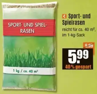 V Baumarkt Sport- und Spielrasen Angebot