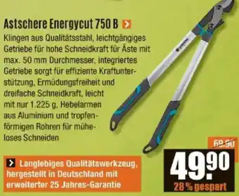 V Baumarkt Astschere Energycut 750 B Angebot