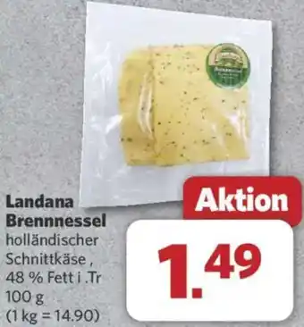 Combi Landana Brennnessel Angebot