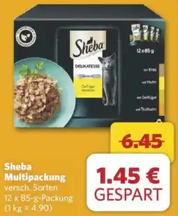 Combi Sheba Multipackung Angebot