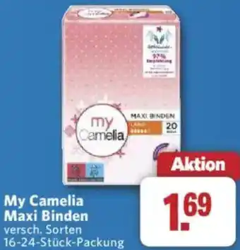 Combi My Camelia Maxi Binden Angebot