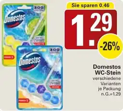 WEZ Domestos WC-Stein Angebot