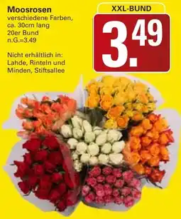 WEZ Moosrosen Angebot