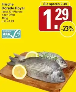 WEZ Frische Dorade Royal Angebot