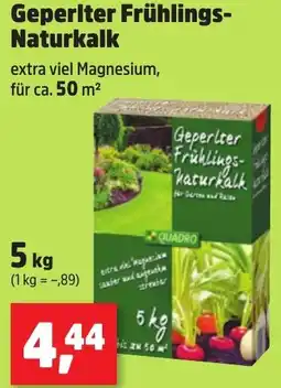 Thomas Philipps Geperlter Frühlings Naturkalk Angebot