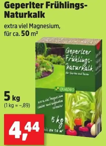 Thomas Philipps Geperlter Frühlings Naturkalk Angebot