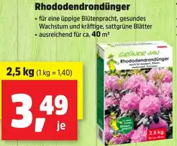 Thomas Philipps GRÜNER JAN Rhododendrondünger Angebot