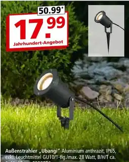 Segmüller Außenstrahler „ubangi“ Angebot