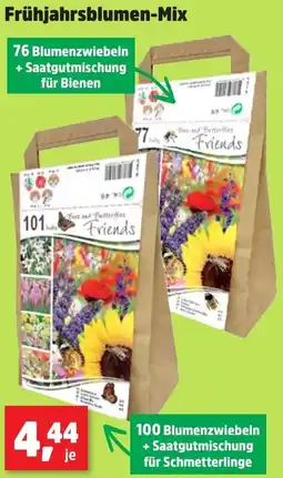 Thomas Philipps Frühjahrsblumen-Mix Angebot