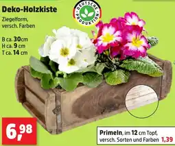 Thomas Philipps Deko-Holzkiste Angebot