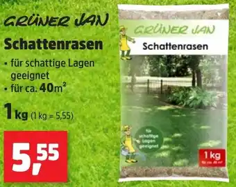 Thomas Philipps GRÜNER JAN Schattenrasen Angebot