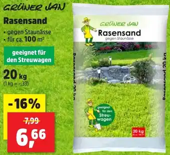 Thomas Philipps GRÜNER JAN Rasensand Angebot