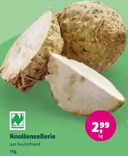 Biomarkt Knollensellerie Angebot