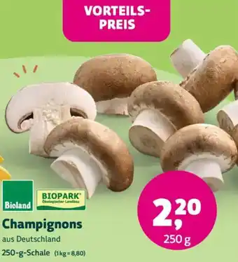 Biomarkt Bioland Champignons Angebot