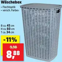 Thomas Philipps Wäschebox Angebot