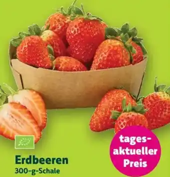 Biomarkt Erdbeeren Angebot