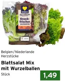 CAP Markt Blattsalat Mix mit Wurzelballen Angebot