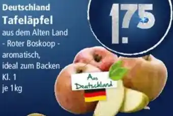 Klaas und Kock Deutschland Tafeläpfel Angebot