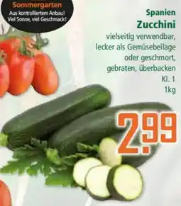 Klaas und Kock Spanien Zucchini Angebot