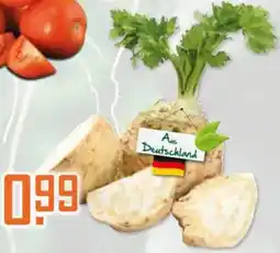 Klaas und Kock Deutschland Sellerie Angebot