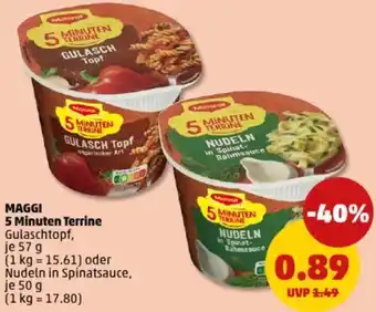 PENNY MAGGI 5 Minuten Terrine Angebot