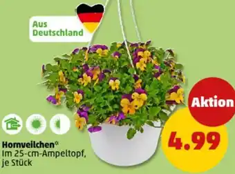 PENNY Hornveilchen Angebot