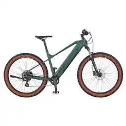 Netto Marken-Discount Prophete Dice 1.0 E-MTB E-Bike 27,5 Angebot