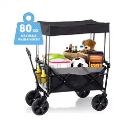 Netto Marken-Discount EASYmaxx Bollerwagen faltbar anthrazit/schwarz mit Dach Angebot