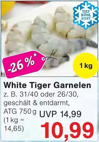 Wiglo Wunderland White Tiger Garnelen Angebot