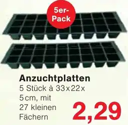 Wiglo Wunderland Anzuchtplatten Angebot