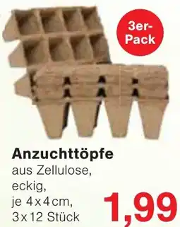 Wiglo Wunderland Anzuchttöpfe Angebot