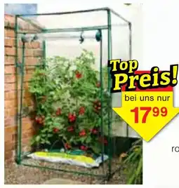 Wiglo Wunderland Gewächshaus Angebot