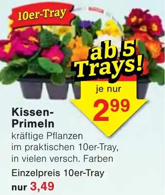 Wiglo Wunderland Kissen Primeln Angebot