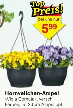 Wiglo Wunderland Hornveilchen-Ampel Angebot