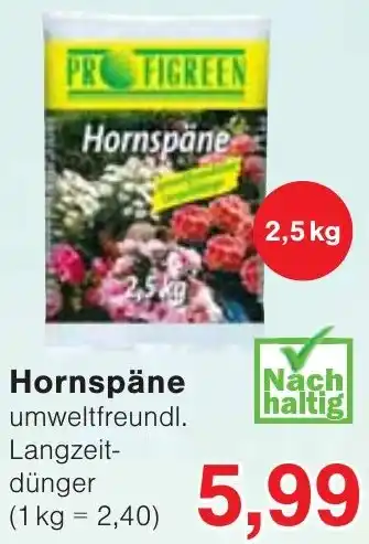 Wiglo Wunderland Hornspäne Angebot