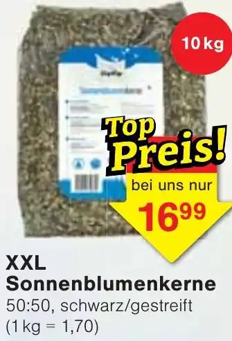 Wiglo Wunderland XXL Sonnenblumenkerne Angebot