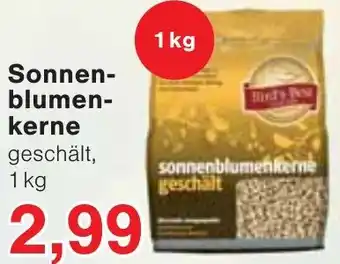 Wiglo Wunderland Sonnenblumenkerne Angebot