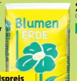 Thomas Philipps Blumen Erde Angebot