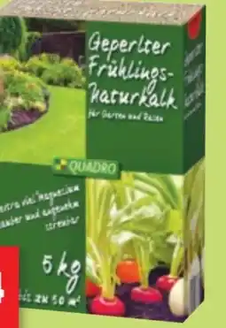 Thomas Philipps Quadro Geperlter Frühlings-Naturkalk Angebot