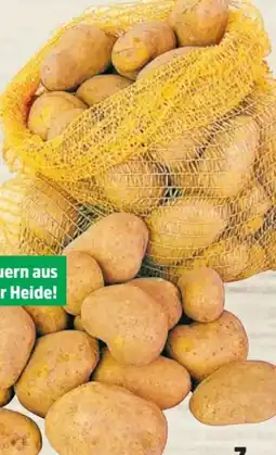 Thomas Philipps Speisekartoffeln Angebot