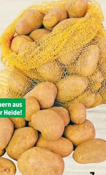 Thomas Philipps Speisekartoffeln Angebot