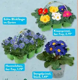 Aldi Süd Gardenline Frühlingsmix Angebot