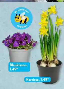 Aldi Süd Gardenline Blaukissen Angebot