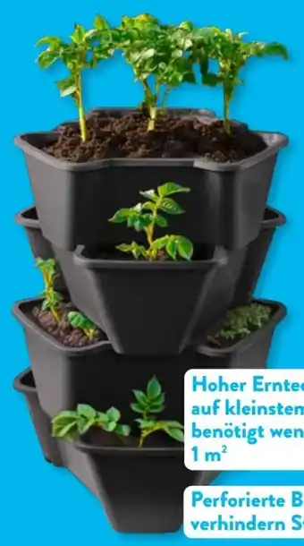 Aldi Süd Gardenline Universal-Pflanzturm Angebot