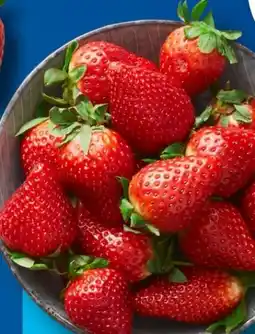 Aldi Süd Erdbeeren Angebot