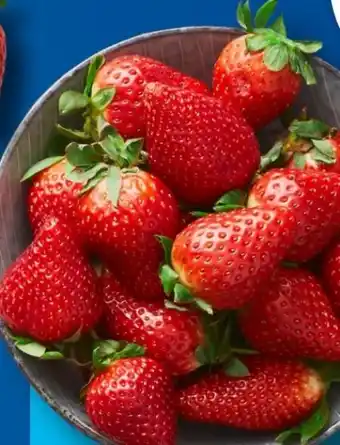 Aldi Süd Erdbeeren Angebot