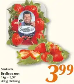 inkoop San Lucar Erdbeeren Angebot