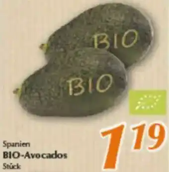 inkoop Spanien BIO-Avocados Angebot